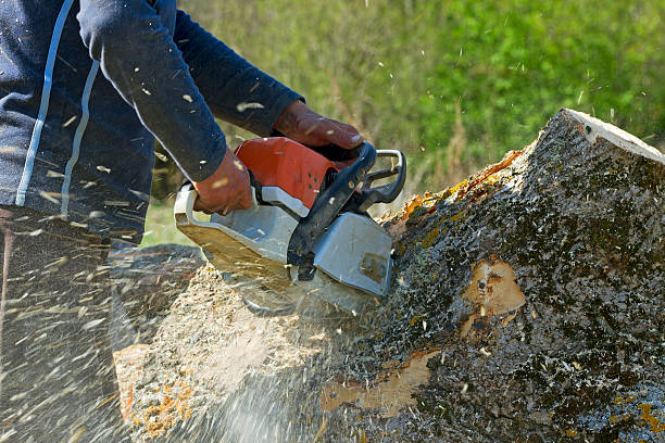 Best Emergency Tree Service  in Golden Grove, SC